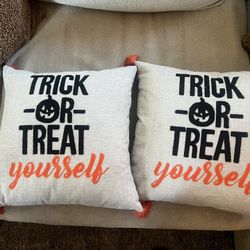 2 Halloween Themed Pillows 