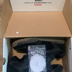 Vans Skating Shoe