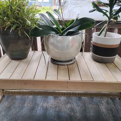 Pots And Plants And Bench 