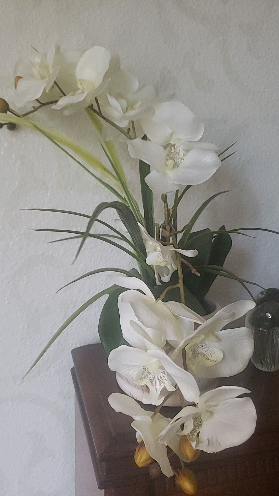 Fake- Realistic looking Orchid Plant- Decor- MOVE OUT SALE!!!