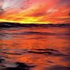 Amber Ruments