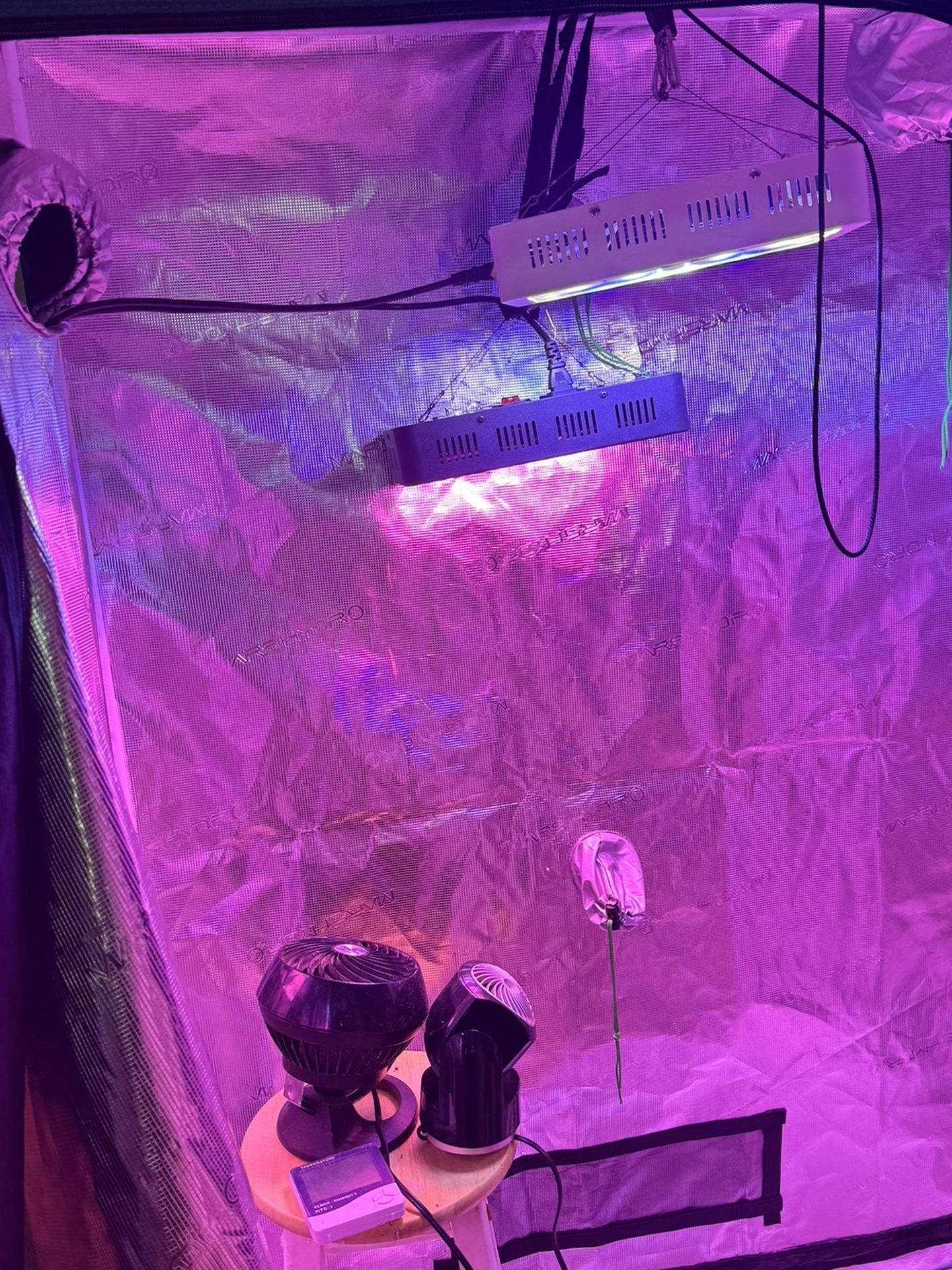 Marijuana Growing tent With Two Lights