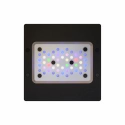 Coral Reef Tank Radion Light 