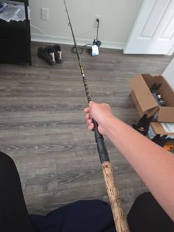 Penn 7'0 rod