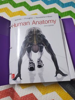 Human Anatomy