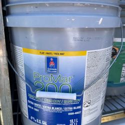 Interior Flat  Paint Beige Color 5 Gallons 