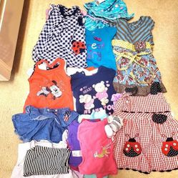 35 PIECES 12-18 BABY GIRL CLOTHES