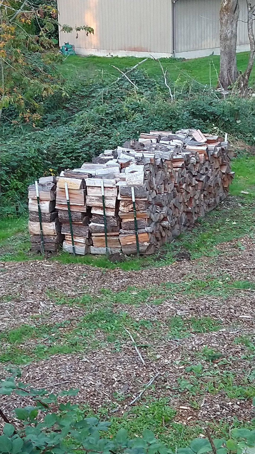 Fir firewood
