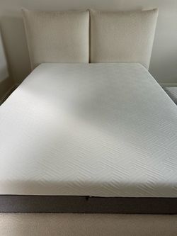 Queen Bed w/ Mattress