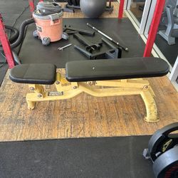 Hammer Strength Adjustable Bench 