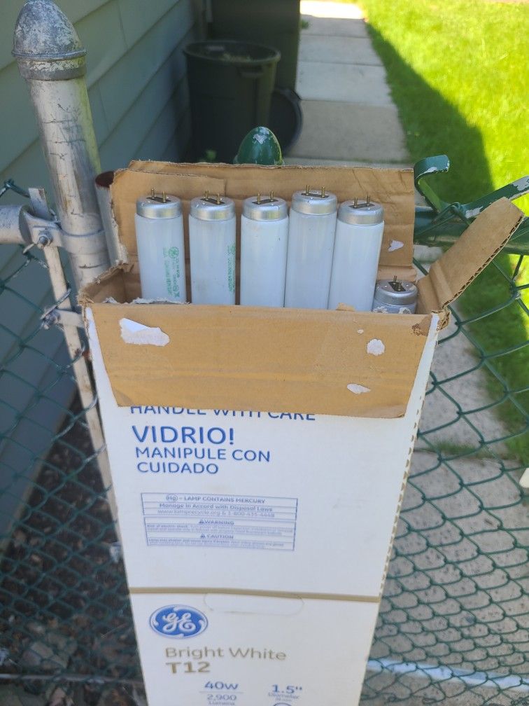 48 Inch T12 40w BULBS