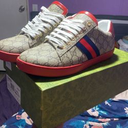 Gucci Shows Brand New 
