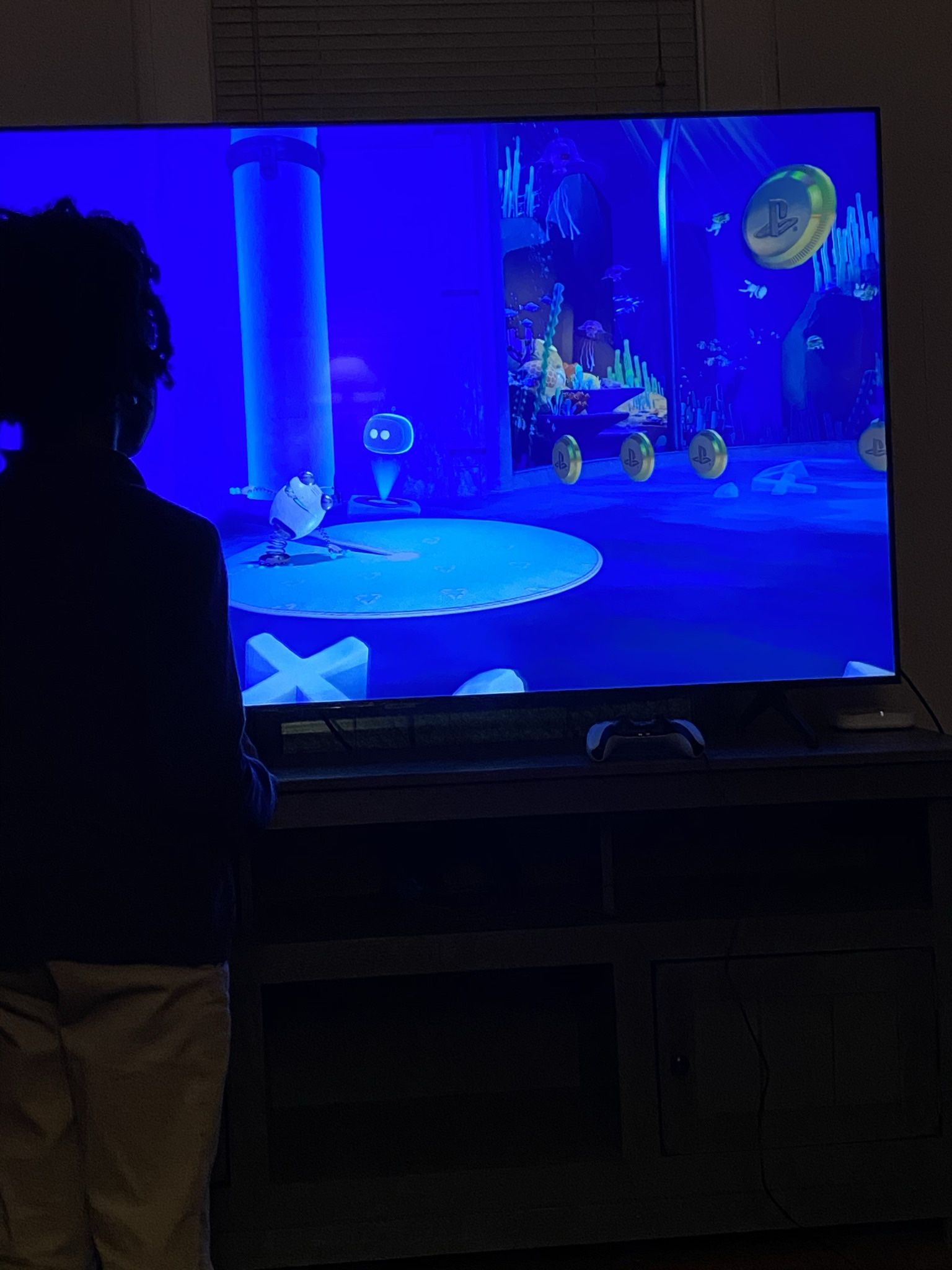 Samsung 65” Inch TV