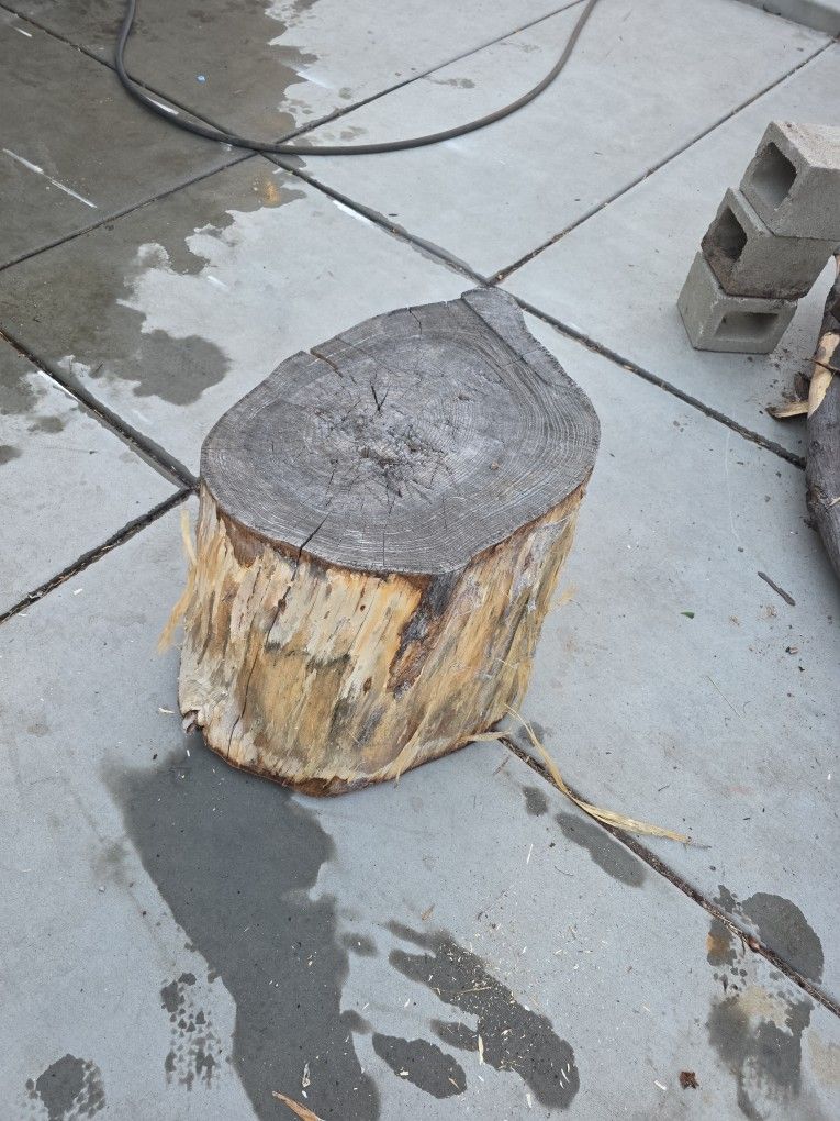 Firewood Stumps