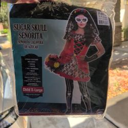 GIRLS DAY OF THE DEAD COSTUME