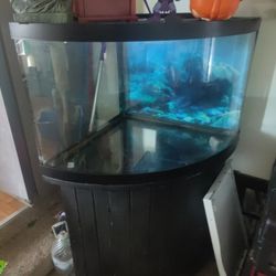 49 Gallon Bow Front