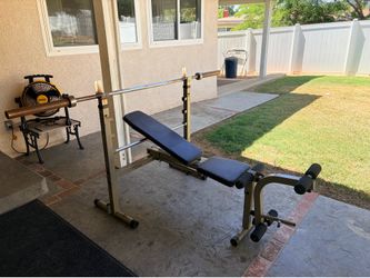 Bench and Barbell
