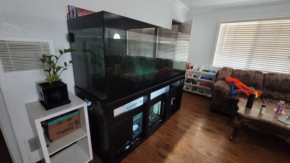 Fish Tank