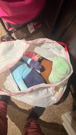 Bag of stuffed Animals and Misc stuff