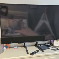 Sony 48" Led Tv