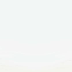 Vintage Czech Long Tail, Bird Vase, Or Flower Holder