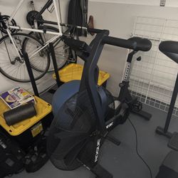 Rogue Echo Assault Bike