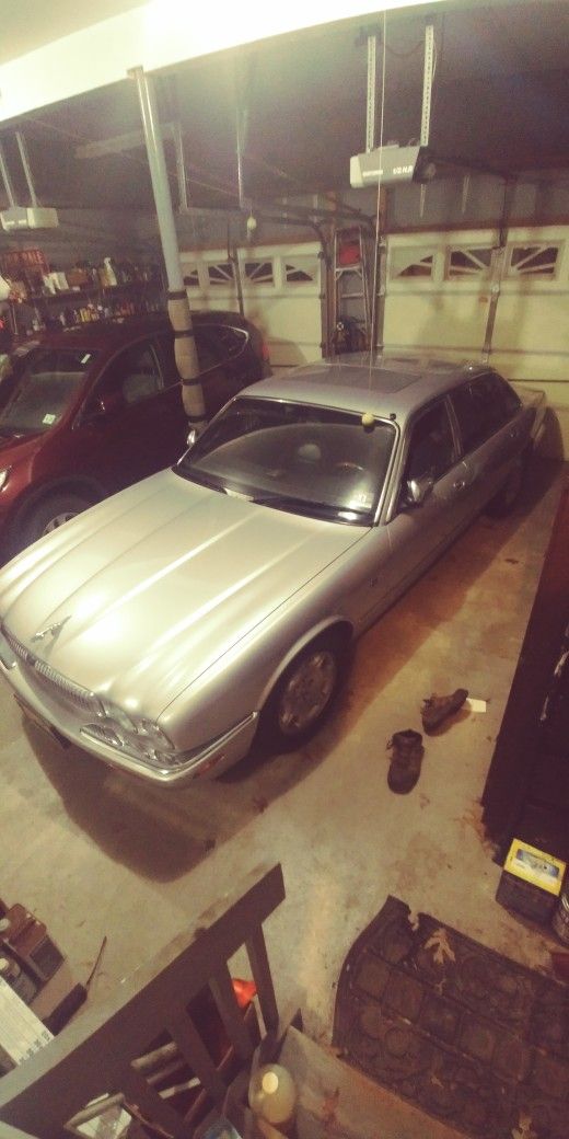 Jaguar Vp