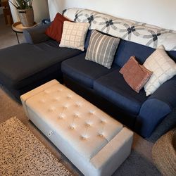 L-shaped sectional couch (right side long)