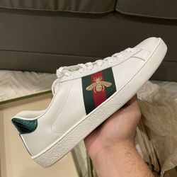 Gucci Ace Bee Size 10-10.5 