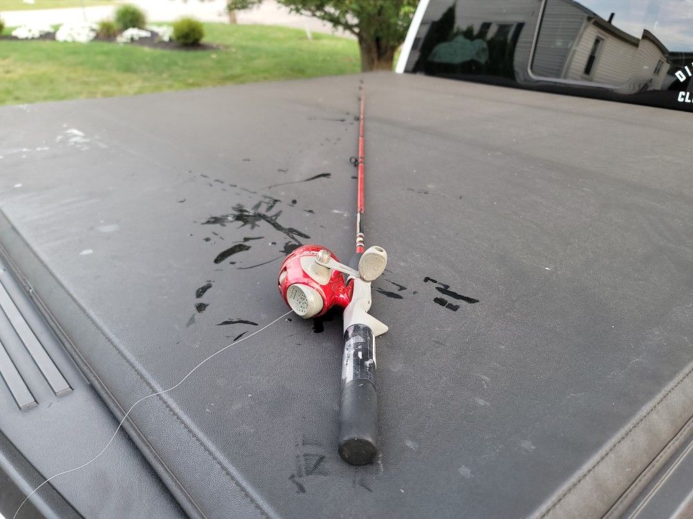 Fishing pole and spincast reel