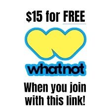 Whatnot Auction Today At 3pm