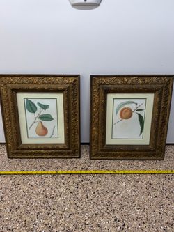 🌿 Vintage Botanical Fruit Prints in Ornate Gold Frames – Set of 2 🍐🍑