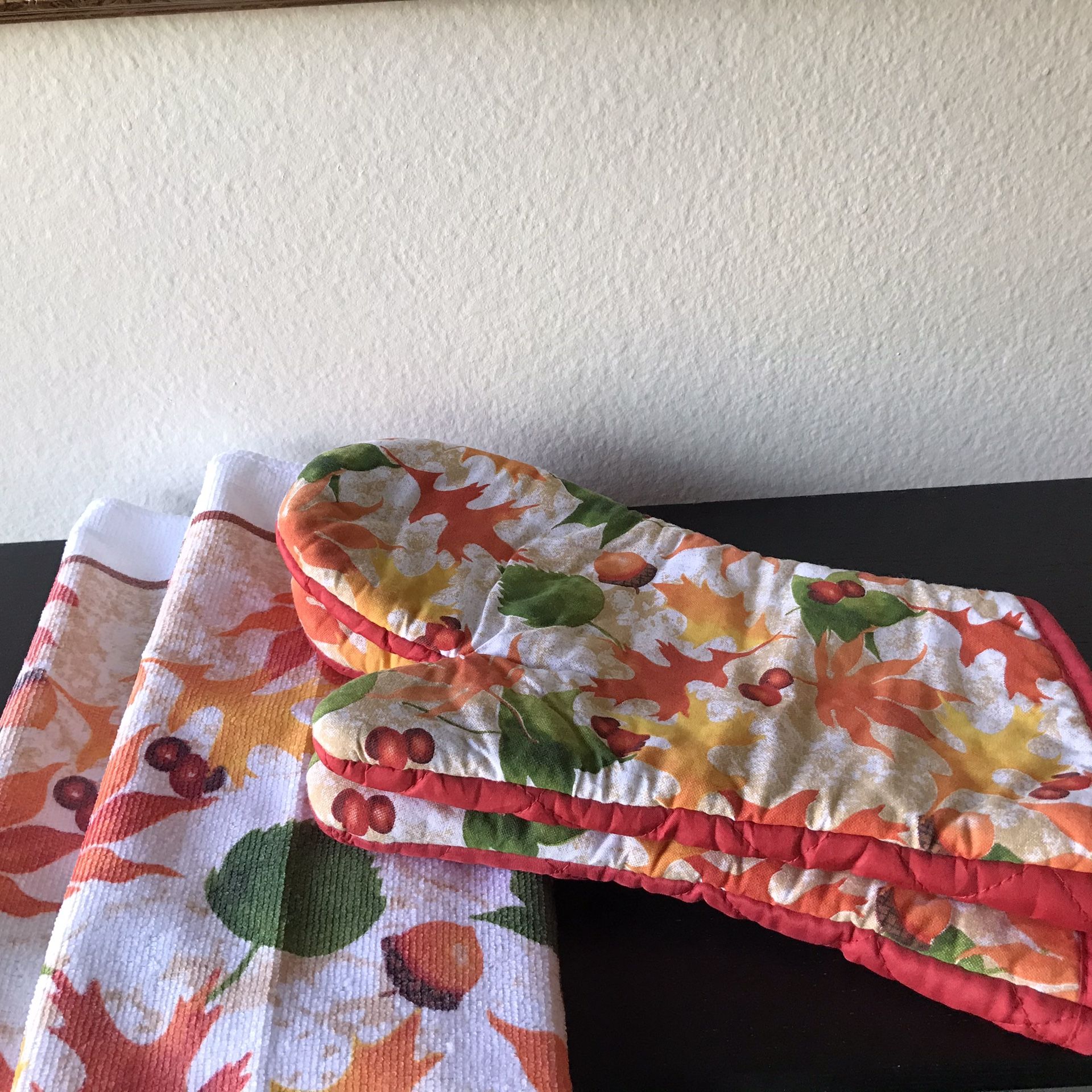 Fall Kitchen Set of 4 $5