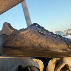 Coach shoes