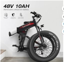Electric Bike  Folding