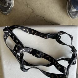 Dog Harness And Seat Belt