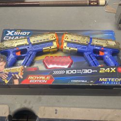Nerf X Shot 