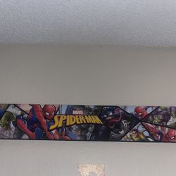 Spider-Man frame