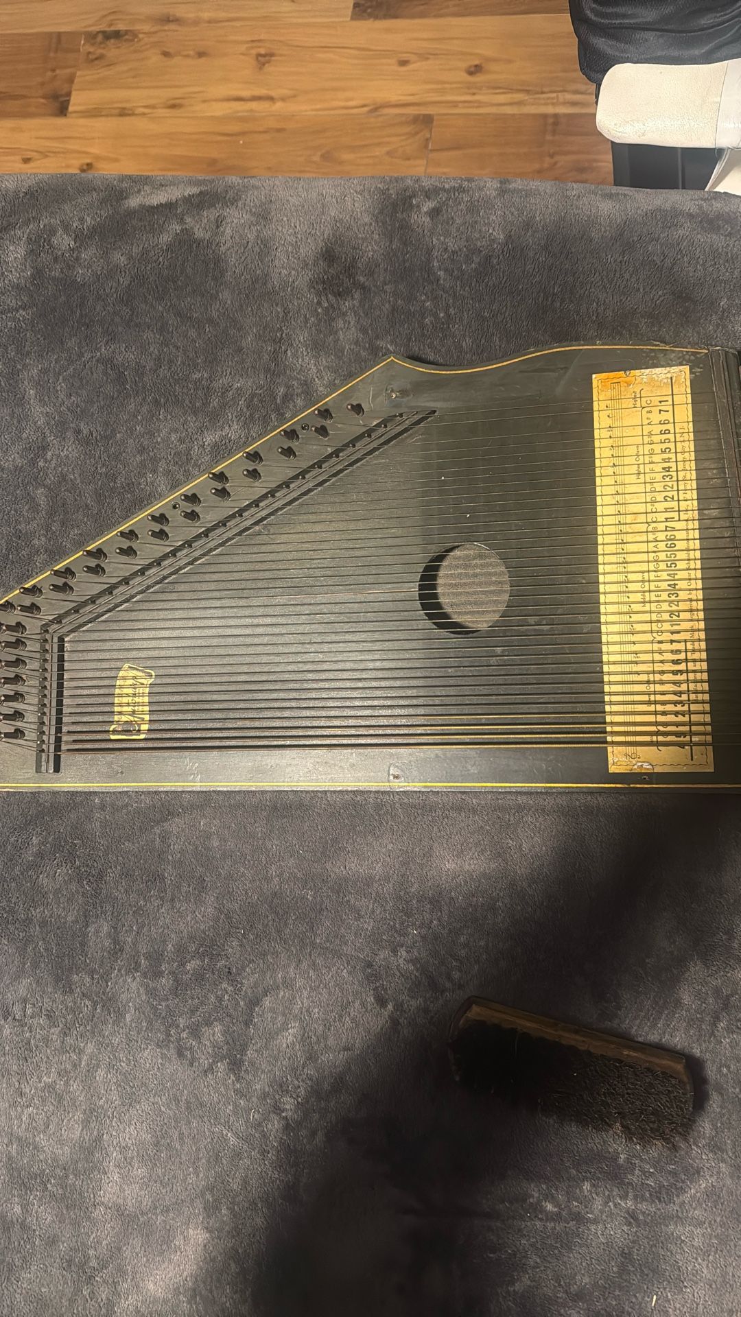 Autoharp By Oscar Schmidt Inc