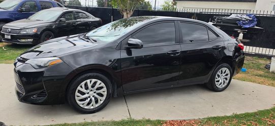 2019 toyota corolla LE