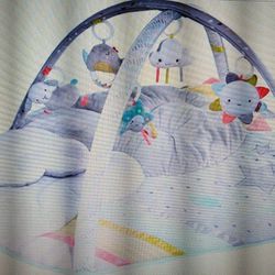 Skip Hop Baby Tummy Time Activity Gym Play Mat Silver Lining Cloud 