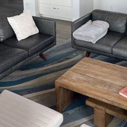 West Elm Leather Couches