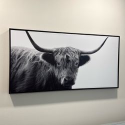 Bull Canvas N Frame 24x48”