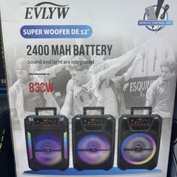 Bluetooth Speaker 12’ Inch/ 