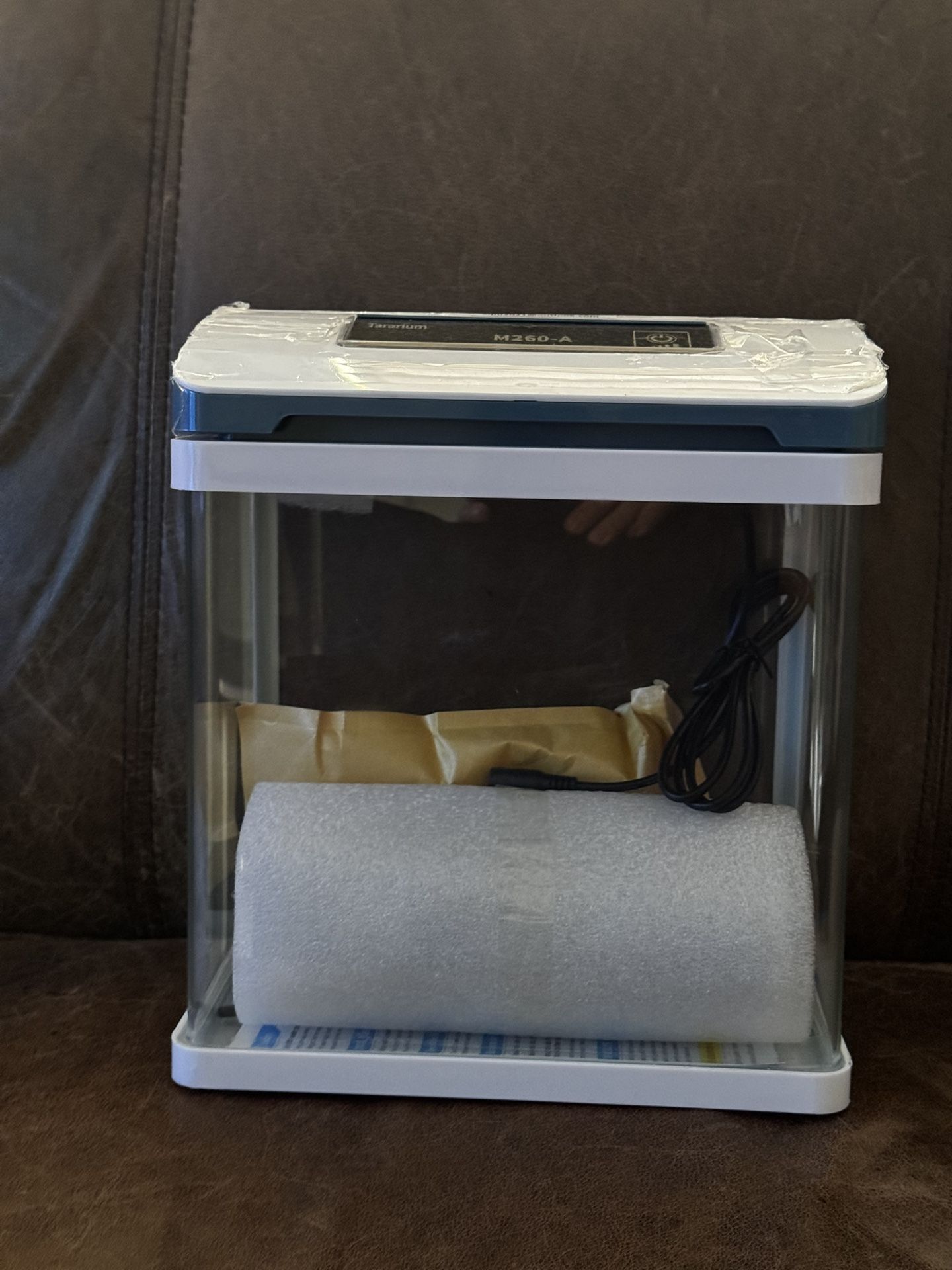 Small Fish Tank 2 Gallon Glass Aquarium