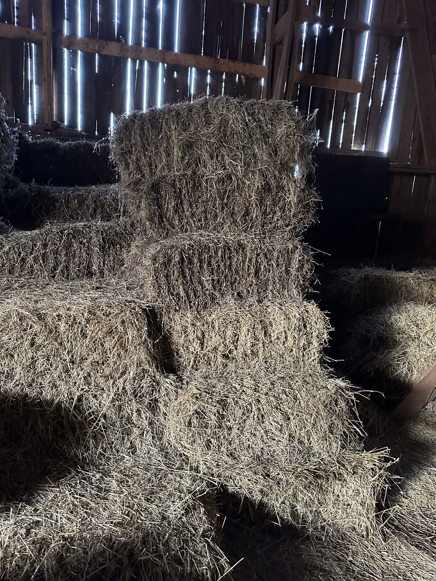 Garden hay