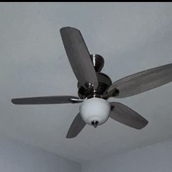 Ceiling Fan Hunter