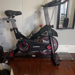POOBOO Exercise Bike, D618