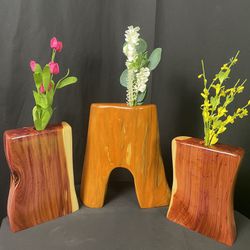 Dried Flower Vases