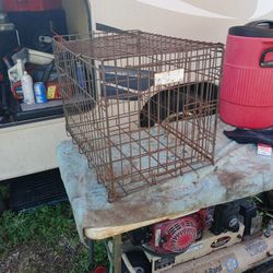 Dog Cage